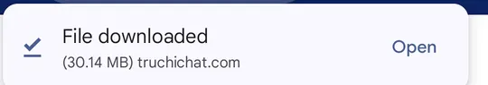 Chrome message: “File downloaded” from truchichat.com, with the “Open” button.