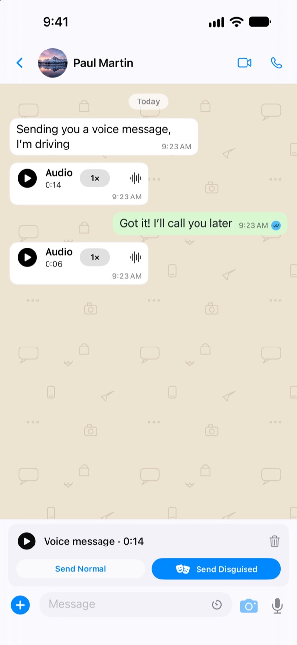 A TruchiChat chat on iPhone, with messages and voice notes